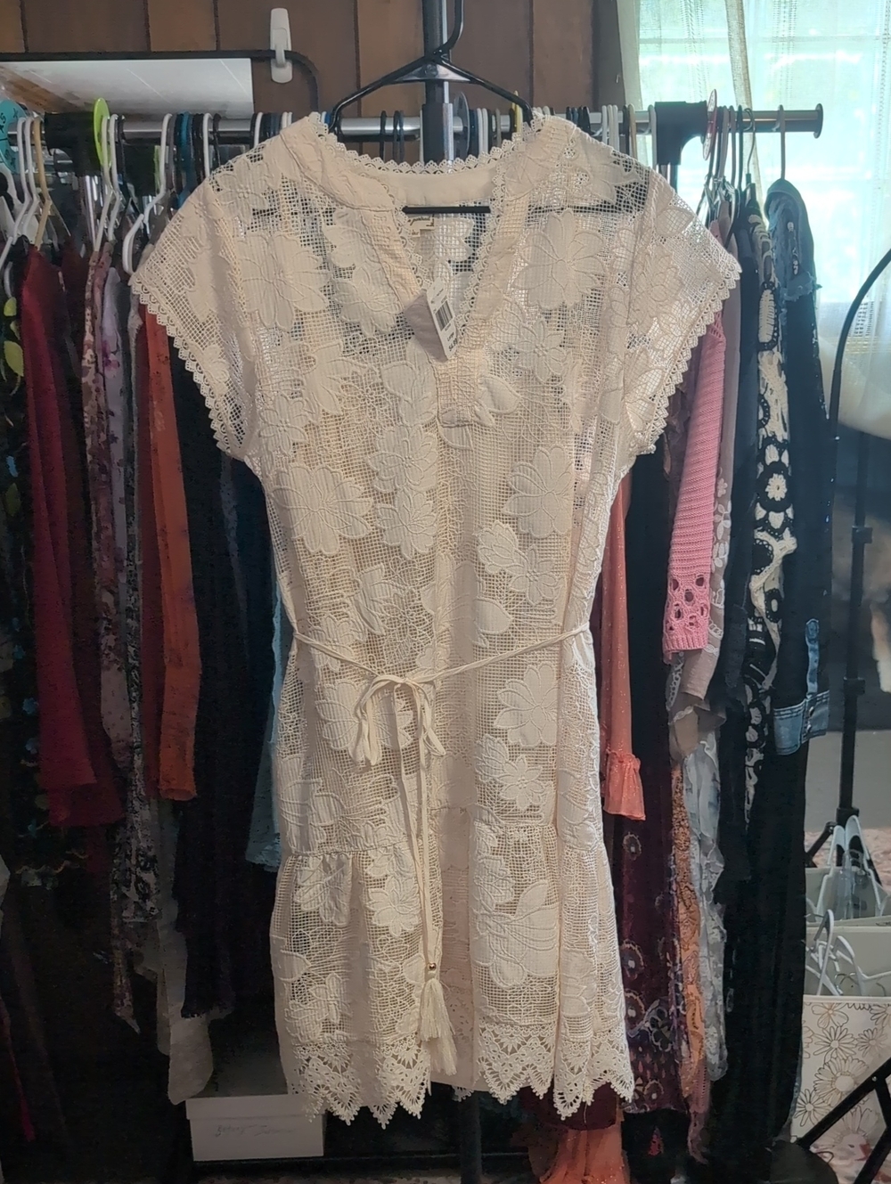 Cloth And Portrait Cream Lace Embroidered Belted Dress NWT